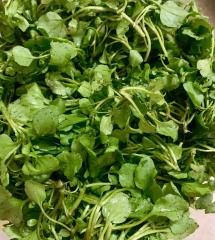 rau-cai-xoong