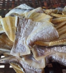 kho-ca-dua-loai-1