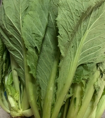 rau-cai-be-xanh