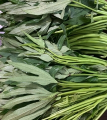 rau-khoai