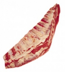 xuong-uc-bo