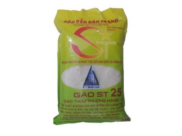 gao-st25