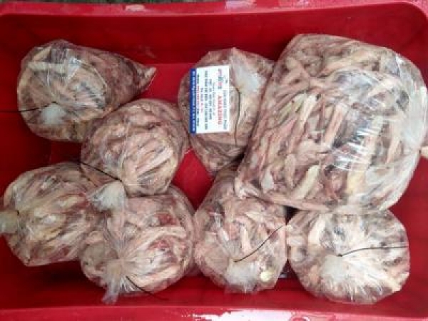 luoi-vit